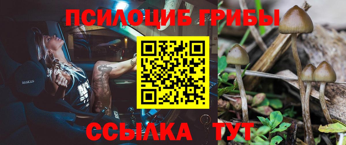 Галлюциногенные грибы мухоморы  Вход с VPN  дарнет шоп  Ачхой-Мартан 